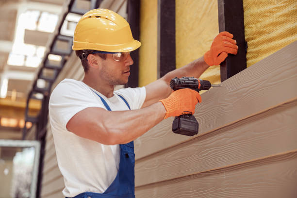 Best Siding Painting and Refinishing  in Goleta, CA